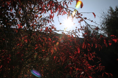 Herrliches Oktoberwetter